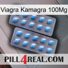 Viagra Kamagra 100Mg viagra4